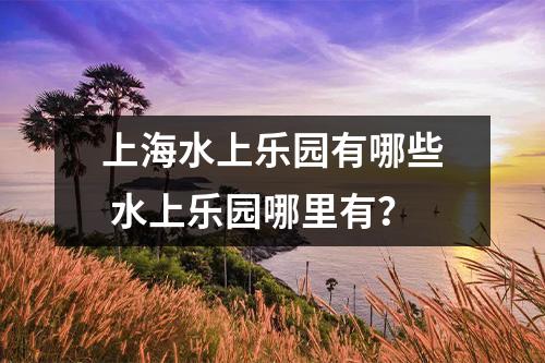 上海水上乐园有哪些 水上乐园哪里有？