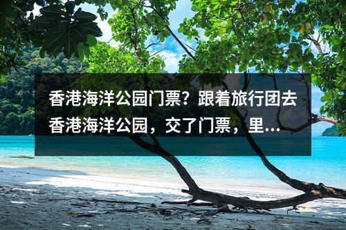 香港海洋公园门票？跟着旅行团去香港海洋公园，交了门票，里面的游玩还需自费的吗？