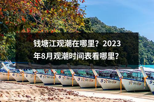钱塘江观潮在哪里？2023年8月观潮时间表看哪里？