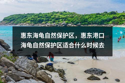惠东海龟自然保护区，惠东港口海龟自然保护区适合什么时候去