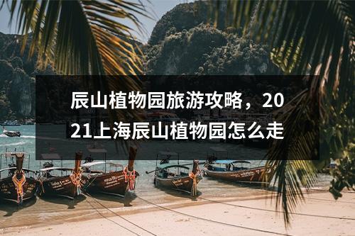 辰山植物园旅游攻略，2021上海辰山植物园怎么走